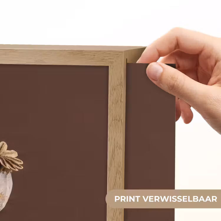 Lightbox - Wandlamp - Papaverbol - Droogbloem - Bruin - Minimalistisch — 5