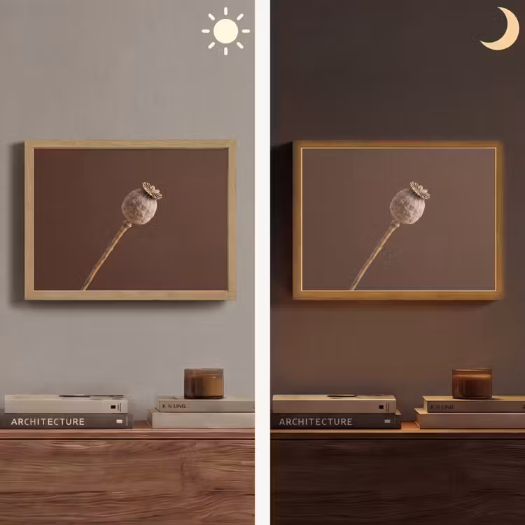 Lightbox - Wandlamp - Papaverbol - Droogbloem - Bruin - Minimalistisch — 6