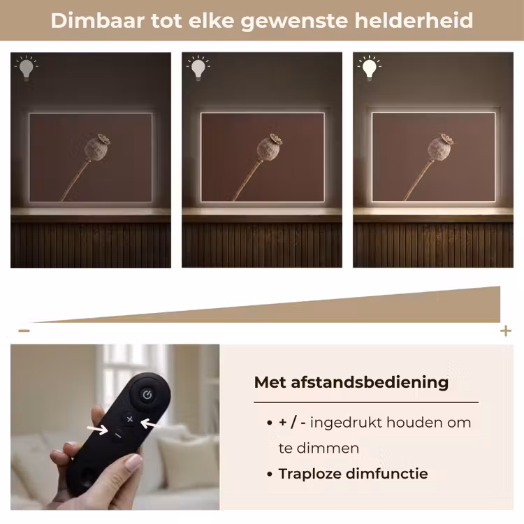 Lightbox - Wandlamp - Papaverbol - Droogbloem - Bruin - Minimalistisch — 9