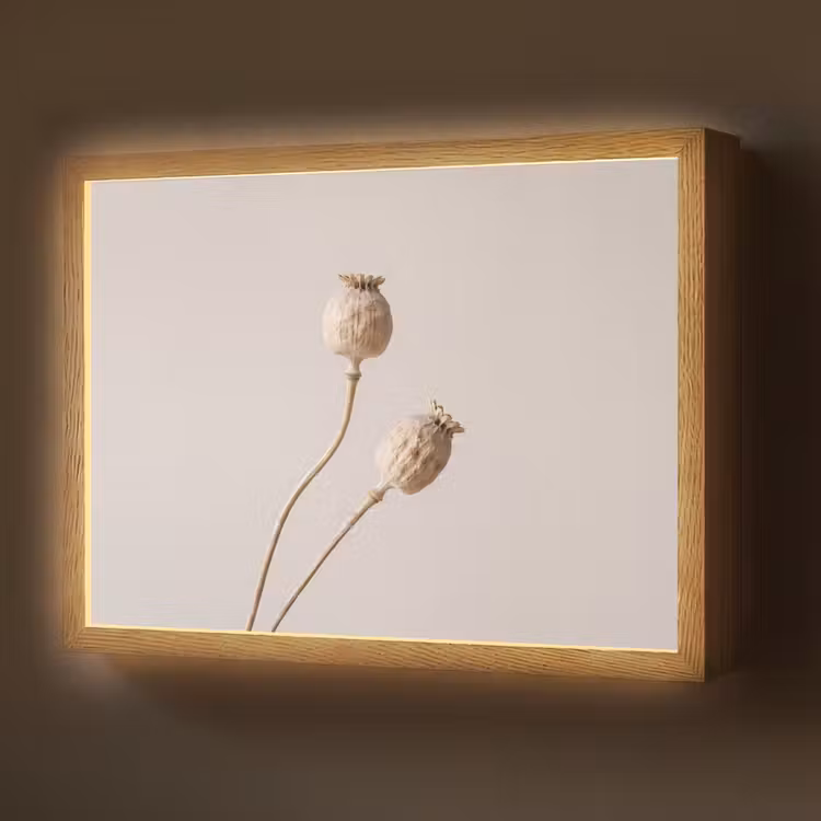 Lightbox - Wandlamp - Papaverbollen - Droogbloemen - Minimalistisch - Beige - Rustig — 1