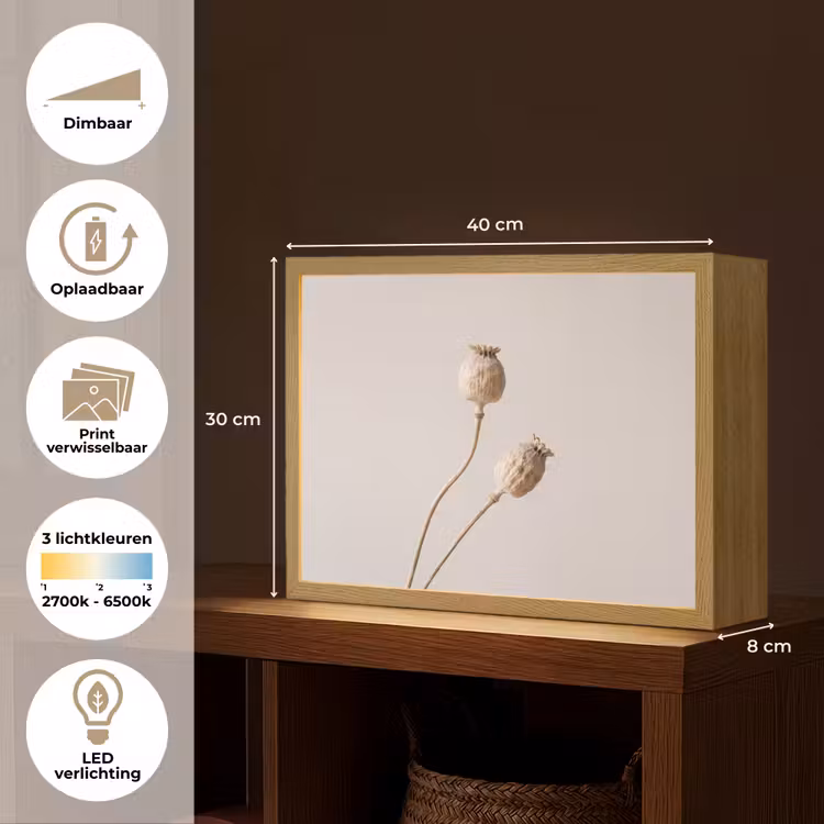 Lightbox - Wandlamp - Papaverbollen - Droogbloemen - Minimalistisch - Beige - Rustig — 10
