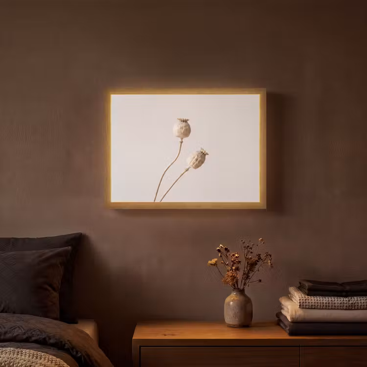 Lightbox - Wandlamp - Papaverbollen - Droogbloemen - Minimalistisch - Beige - Rustig — 3