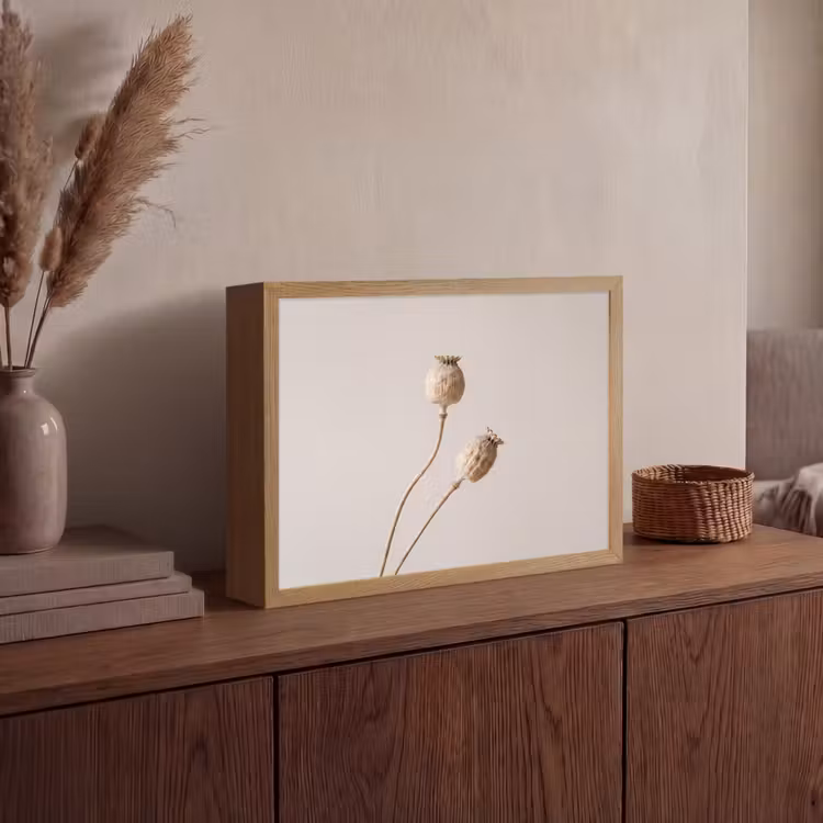 Lightbox - Wandlamp - Papaverbollen - Droogbloemen - Minimalistisch - Beige - Rustig — 4