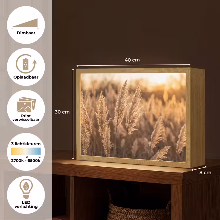 Lightbox - Wandlamp - Rietpluimen - Gras - Zonsondergang - Goud - Serene — 10
