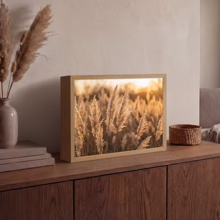 Lightbox - Wandlamp - Rietpluimen - Gras - Zonsondergang - Goud - Serene — 4