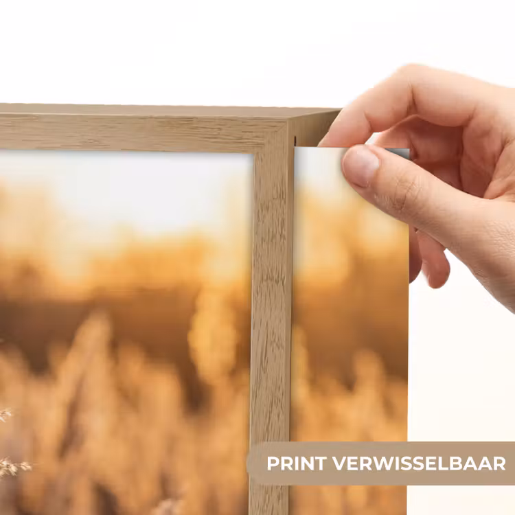 Lightbox - Wandlamp - Rietpluimen - Gras - Zonsondergang - Goud - Serene — 5