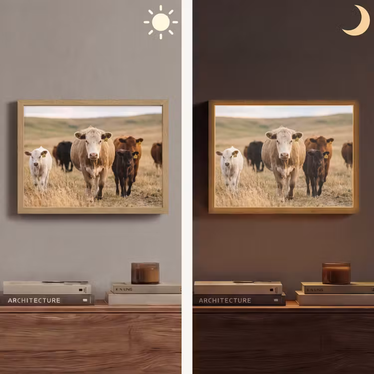 Lightbox - Wandlamp - Runderen - Kudde - Landschap - Weide - Rustig — 6