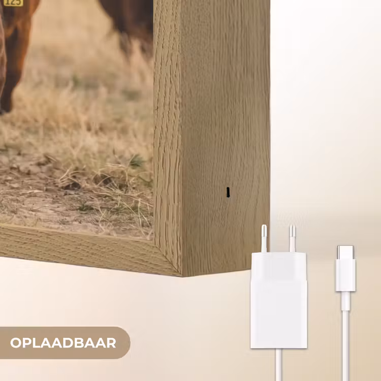 Lightbox - Wandlamp - Runderen - Kudde - Landschap - Weide - Rustig — 7