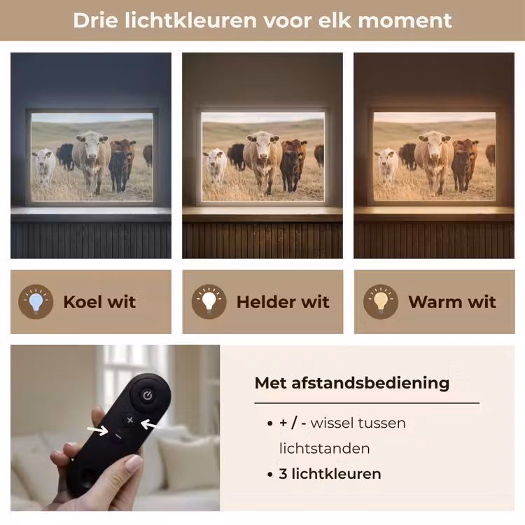 Lightbox - Wandlamp - Runderen - Kudde - Landschap - Weide - Rustig — 8