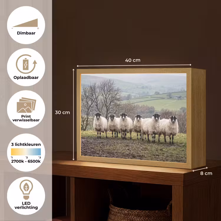 Lightbox - Wandlamp - Schapen - Rij - Weide - Dieren - Platteland — 10