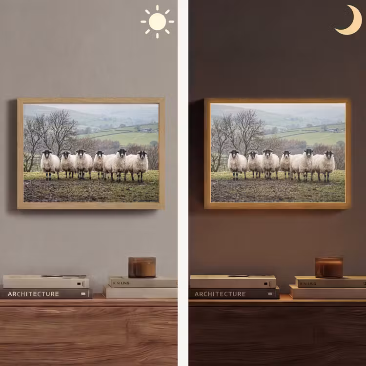 Lightbox - Wandlamp - Schapen - Rij - Weide - Dieren - Platteland — 6