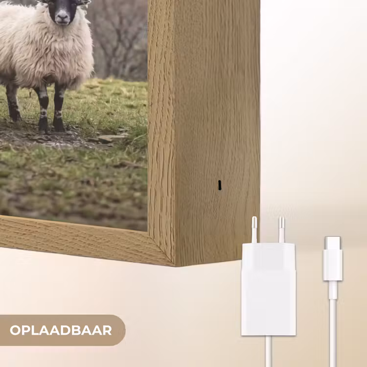 Lightbox - Wandlamp - Schapen - Rij - Weide - Dieren - Platteland — 7