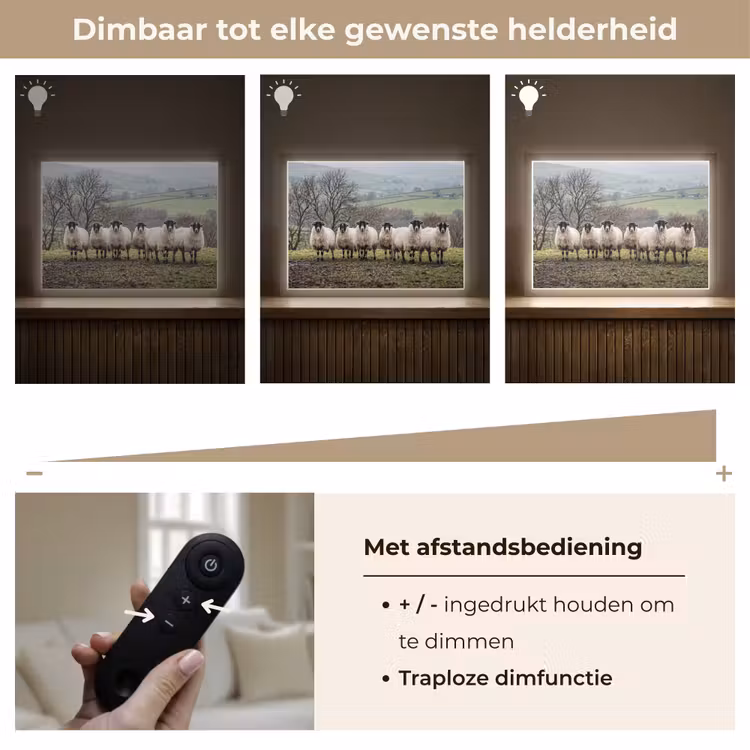 Lightbox - Wandlamp - Schapen - Rij - Weide - Dieren - Platteland — 9