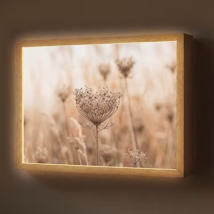 Lightbox - Wandlamp - Schermbloem - Droogbloem - Winter - Beige - Minimalistisch — 1
