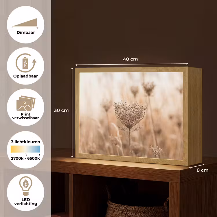 Lightbox - Wandlamp - Schermbloem - Droogbloem - Winter - Beige - Minimalistisch — 10