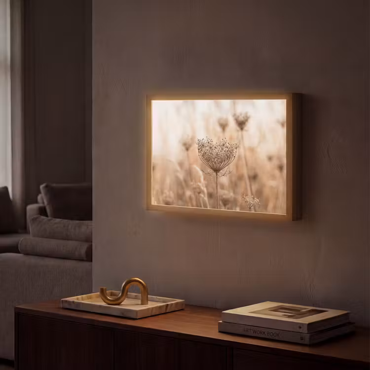 Lightbox - Wandlamp - Schermbloem - Droogbloem - Winter - Beige - Minimalistisch — 2