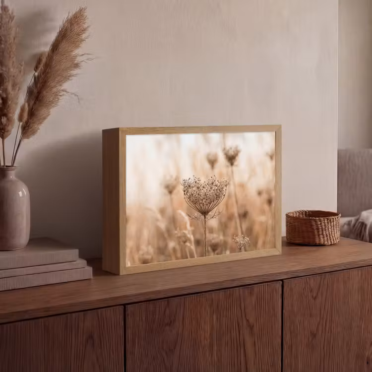 Lightbox - Wandlamp - Schermbloem - Droogbloem - Winter - Beige - Minimalistisch — 4