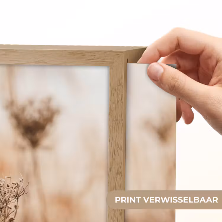 Lightbox - Wandlamp - Schermbloem - Droogbloem - Winter - Beige - Minimalistisch — 5