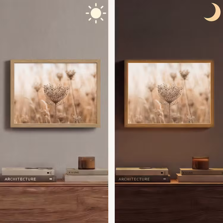 Lightbox - Wandlamp - Schermbloem - Droogbloem - Winter - Beige - Minimalistisch — 6