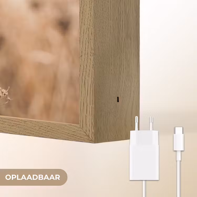 Lightbox - Wandlamp - Schermbloem - Droogbloem - Winter - Beige - Minimalistisch — 7