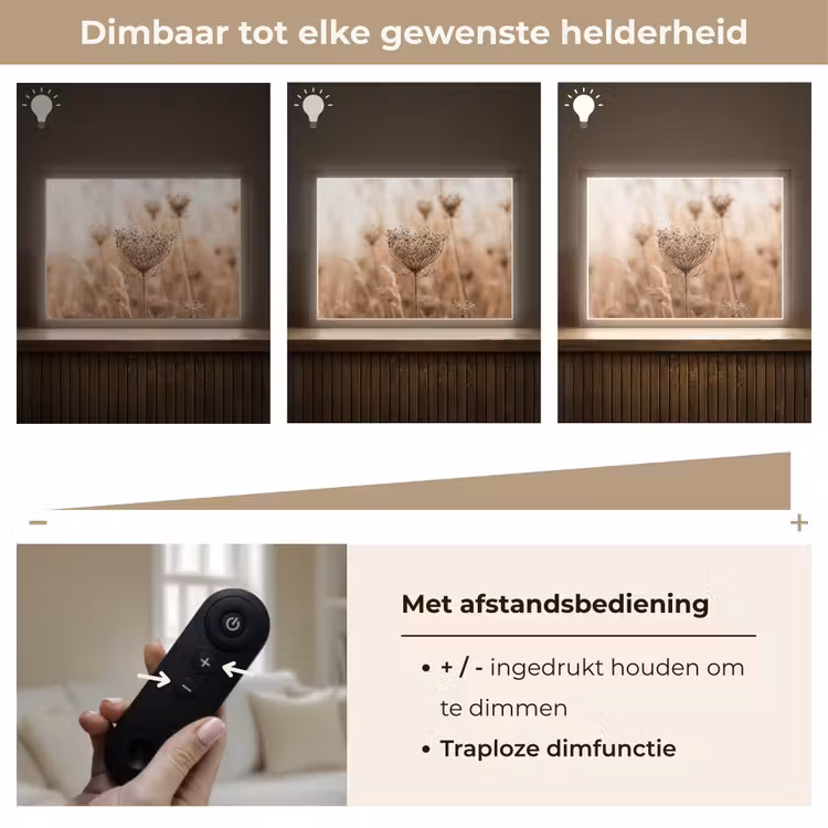 Lightbox - Wandlamp - Schermbloem - Droogbloem - Winter - Beige - Minimalistisch — 9