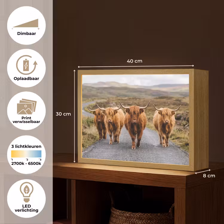 Lightbox - Wandlamp - Schotse Hooglanders - Weg - Landschap - Kudde — 10