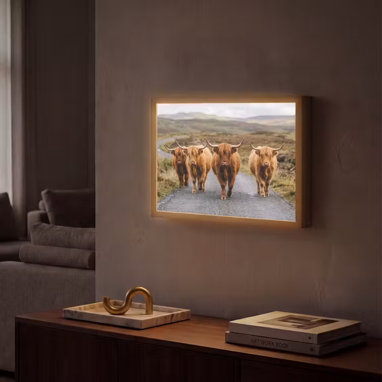 Lightbox - Wandlamp - Schotse Hooglanders - Weg - Landschap - Kudde — 2