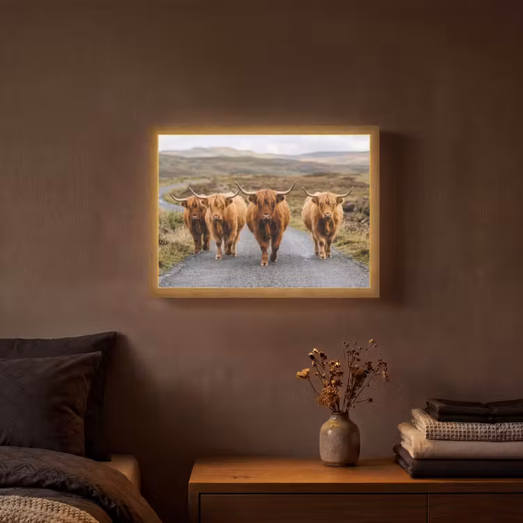 Lightbox - Wandlamp - Schotse Hooglanders - Weg - Landschap - Kudde — 3