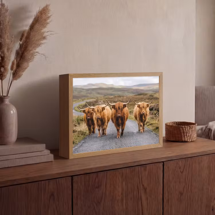 Lightbox - Wandlamp - Schotse Hooglanders - Weg - Landschap - Kudde — 4
