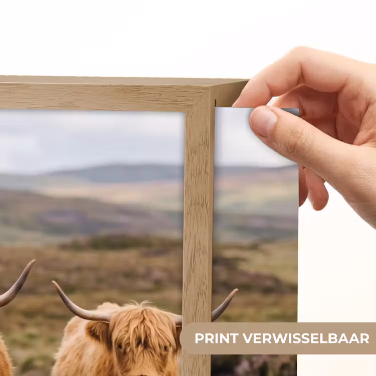 Lightbox - Wandlamp - Schotse Hooglanders - Weg - Landschap - Kudde — 5