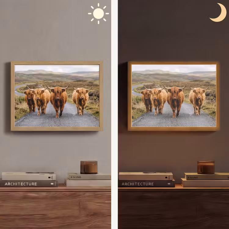 Lightbox - Wandlamp - Schotse Hooglanders - Weg - Landschap - Kudde — 6