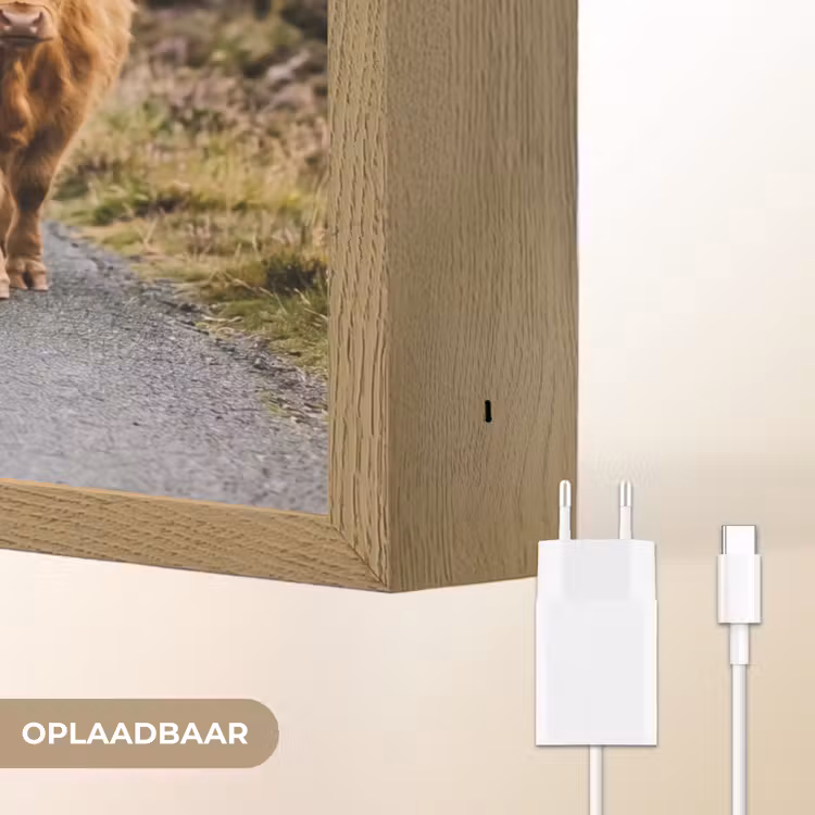 Lightbox - Wandlamp - Schotse Hooglanders - Weg - Landschap - Kudde — 7