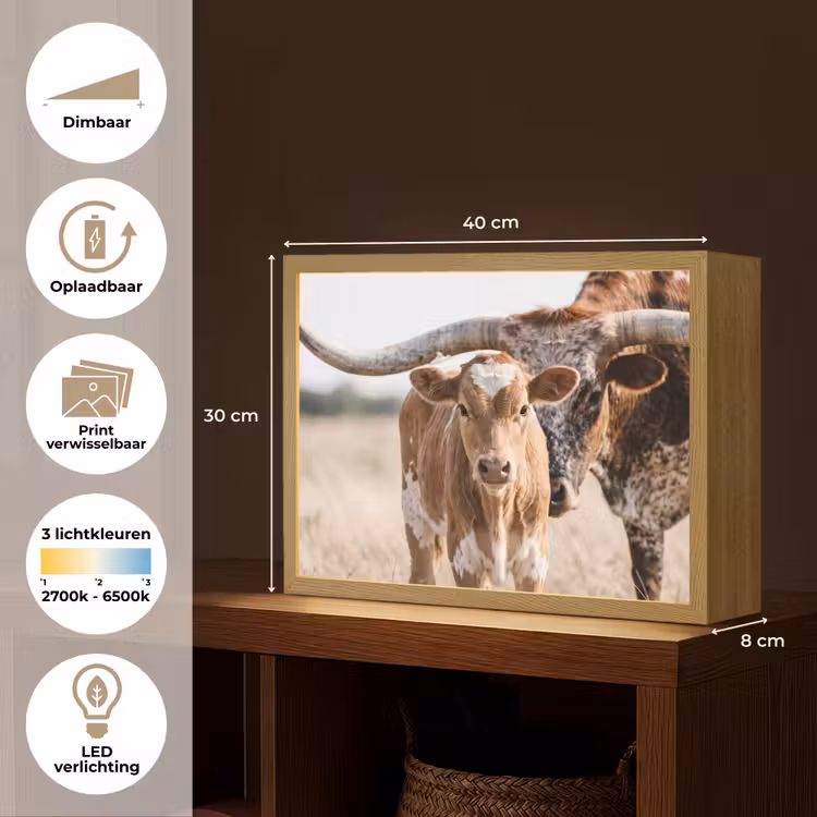 Lightbox - Wandlamp - Texas Longhorn - Kalf - Weide - Dieren — 10