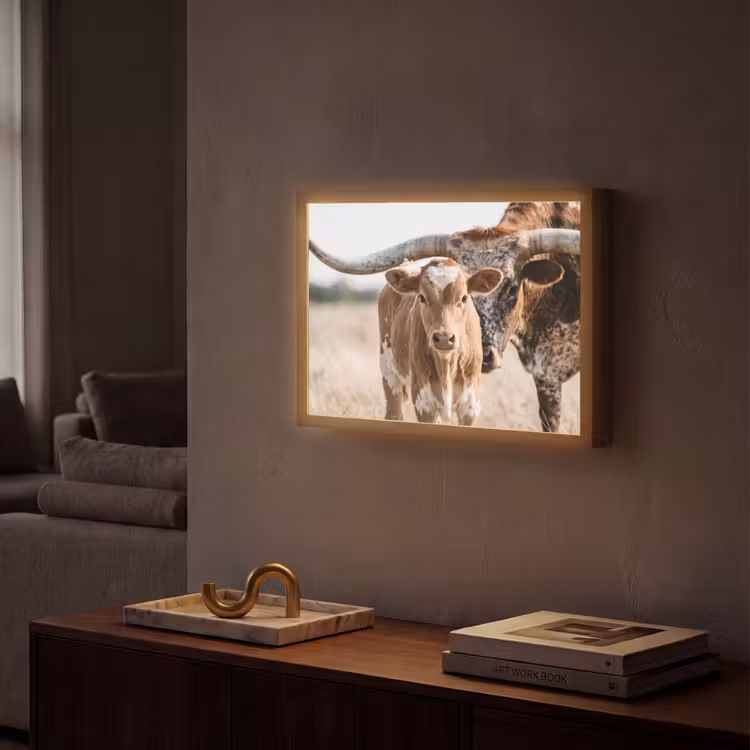 Lightbox - Wandlamp - Texas Longhorn - Kalf - Weide - Dieren — 2