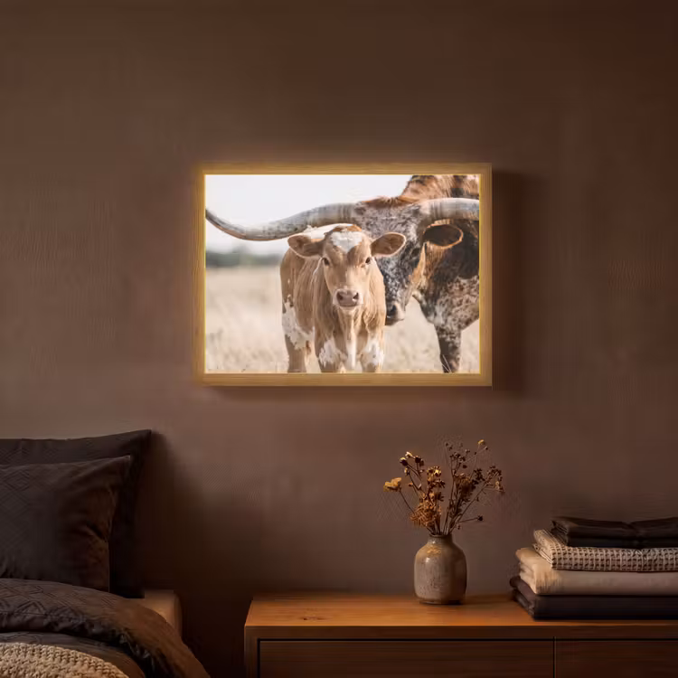 Lightbox - Wandlamp - Texas Longhorn - Kalf - Weide - Dieren — 3