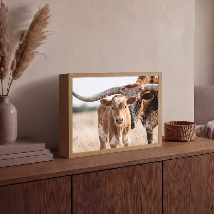 Lightbox - Wandlamp - Texas Longhorn - Kalf - Weide - Dieren — 4