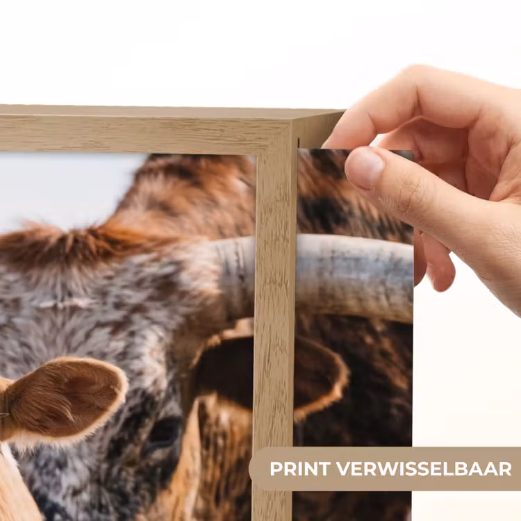 Lightbox - Wandlamp - Texas Longhorn - Kalf - Weide - Dieren — 5