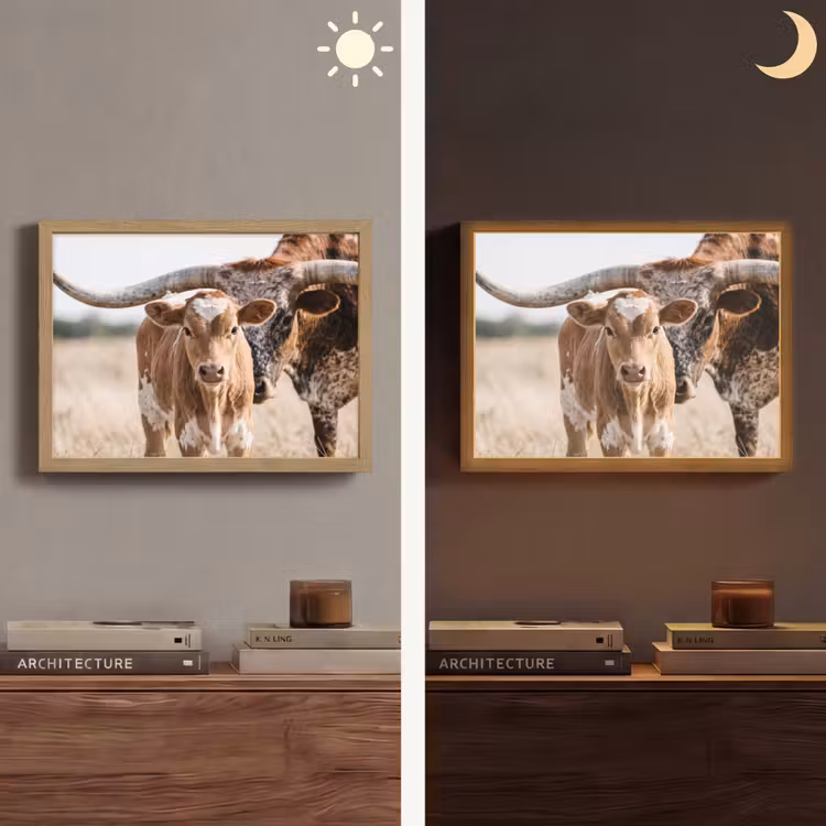 Lightbox - Wandlamp - Texas Longhorn - Kalf - Weide - Dieren — 6
