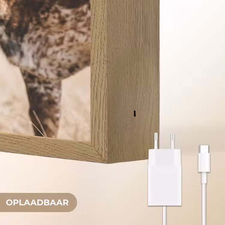 Lightbox - Wandlamp - Texas Longhorn - Kalf - Weide - Dieren — 7