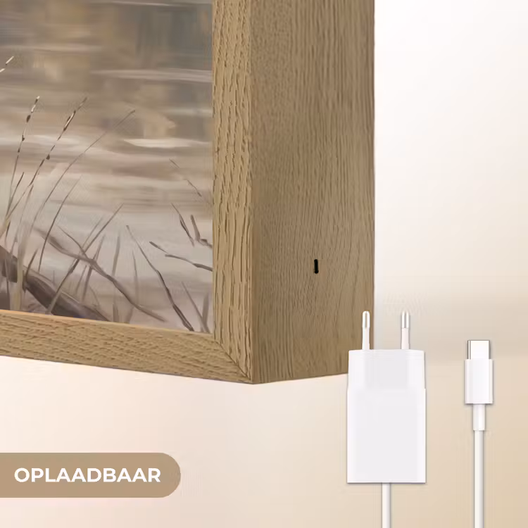 Lightbox - Wandlamp - Winterkoninkje - Tak - Rivier - Natuur - Sfeervol — 7