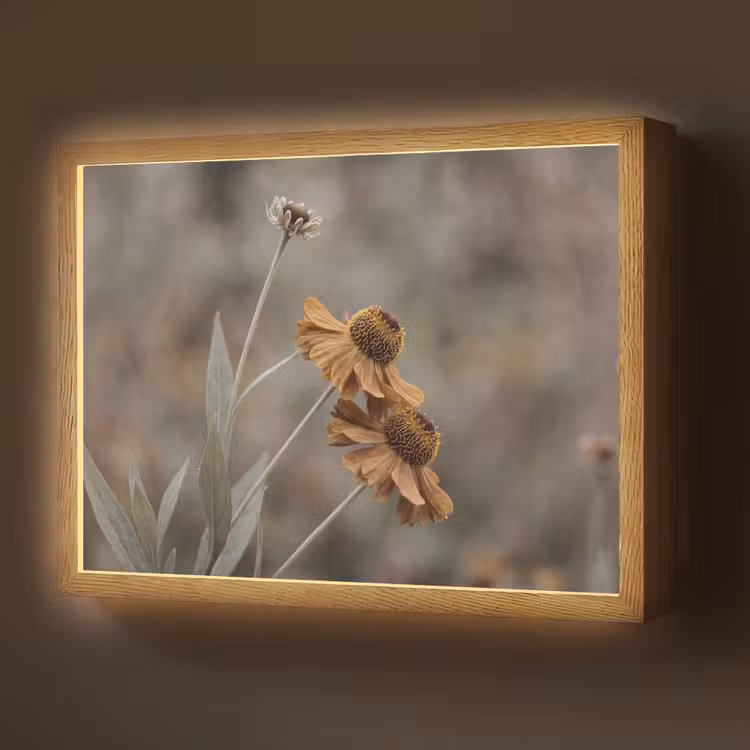 Lightbox - Wandlamp - Zonnehoed - Droogbloemen - Geel - Warm — 1