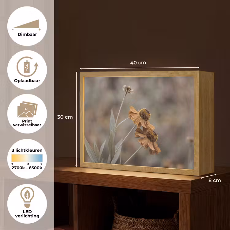 Lightbox - Wandlamp - Zonnehoed - Droogbloemen - Geel - Warm — 10