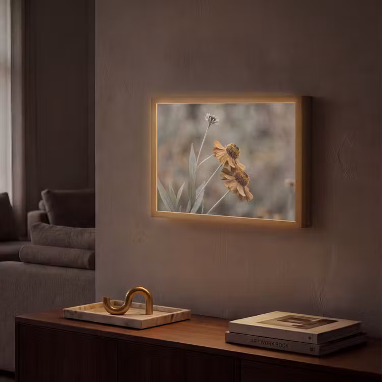 Lightbox - Wandlamp - Zonnehoed - Droogbloemen - Geel - Warm — 2