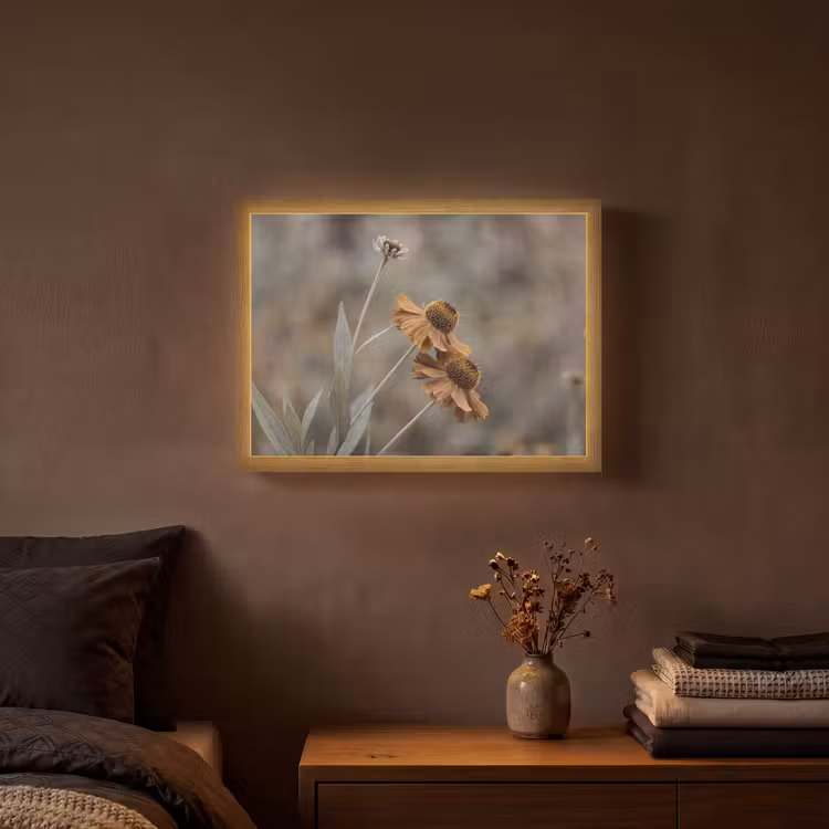 Lightbox - Wandlamp - Zonnehoed - Droogbloemen - Geel - Warm — 3
