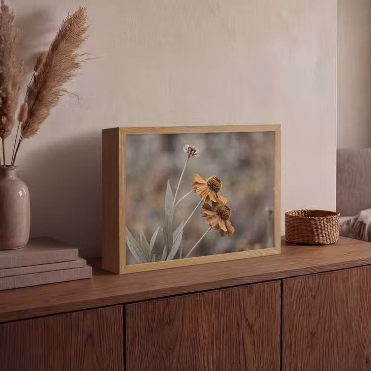 Lightbox - Wandlamp - Zonnehoed - Droogbloemen - Geel - Warm — 4