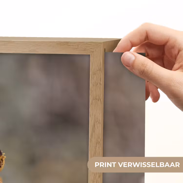 Lightbox - Wandlamp - Zonnehoed - Droogbloemen - Geel - Warm — 5