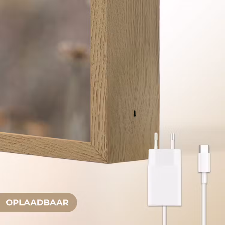 Lightbox - Wandlamp - Zonnehoed - Droogbloemen - Geel - Warm — 7