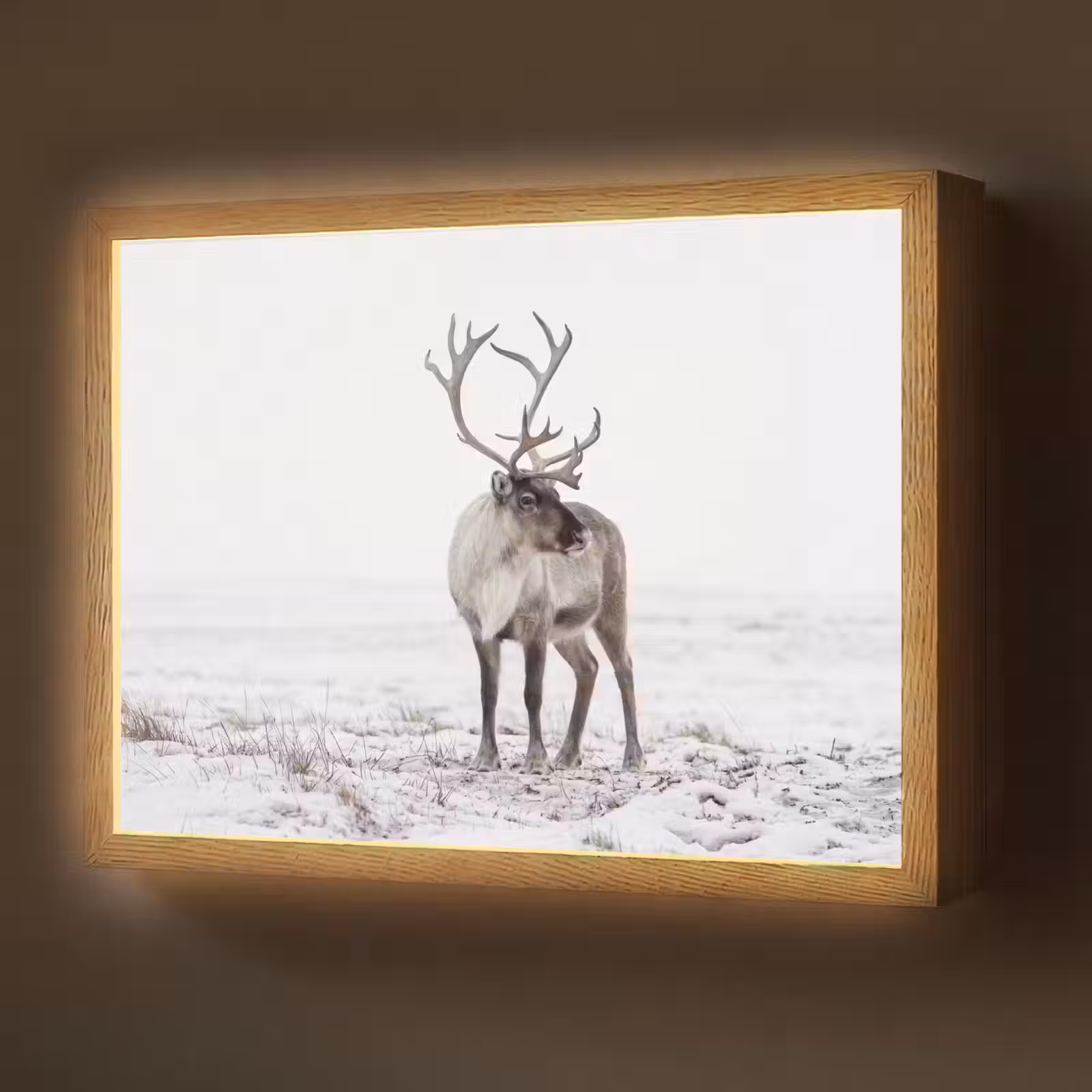 Lightbox - Wandlamp - Rendier - Gewei - Sneeuw - Winter — 1