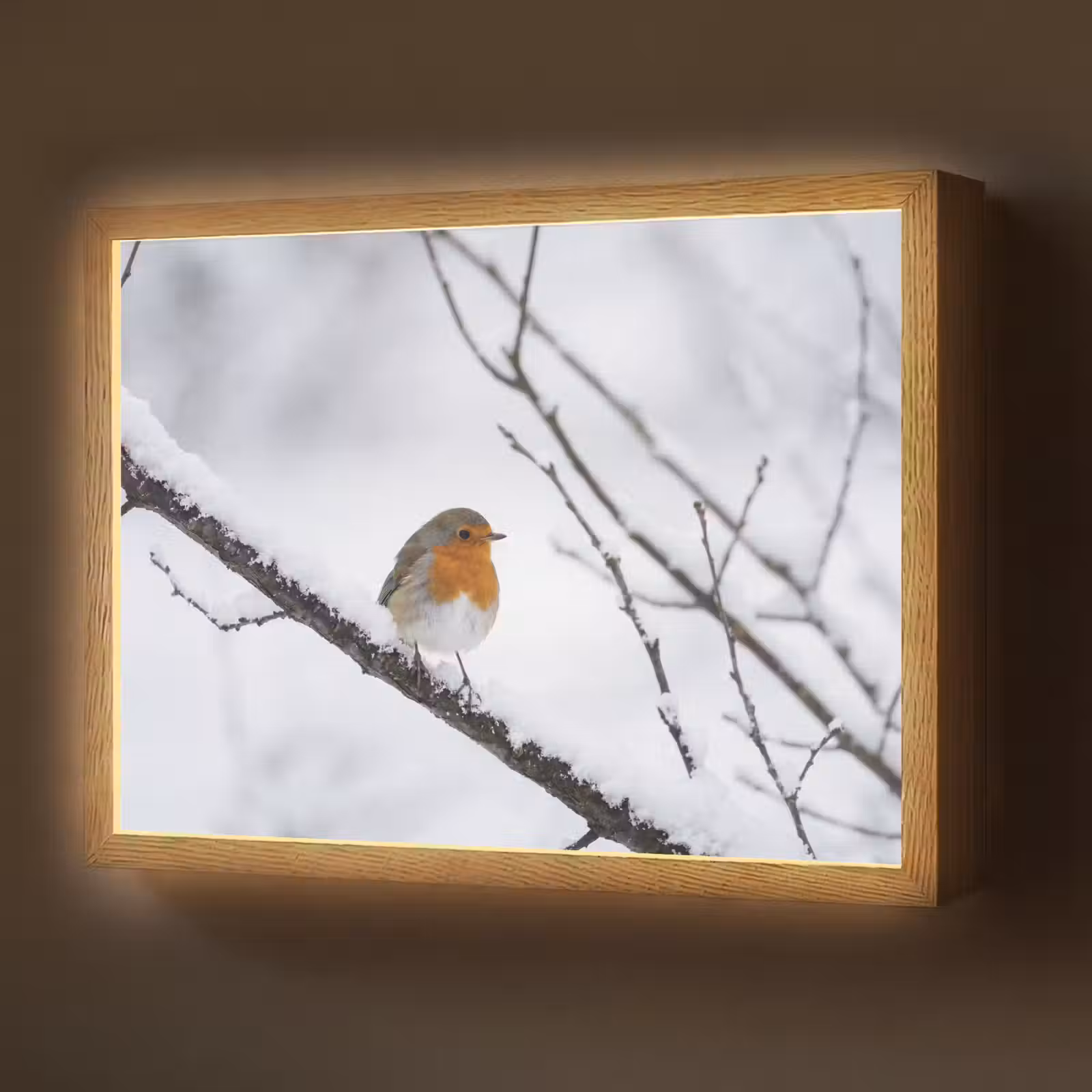 Lightbox - Wandlamp - Roodborstje - Tak - Sneeuw - Winter - Levendig — 1