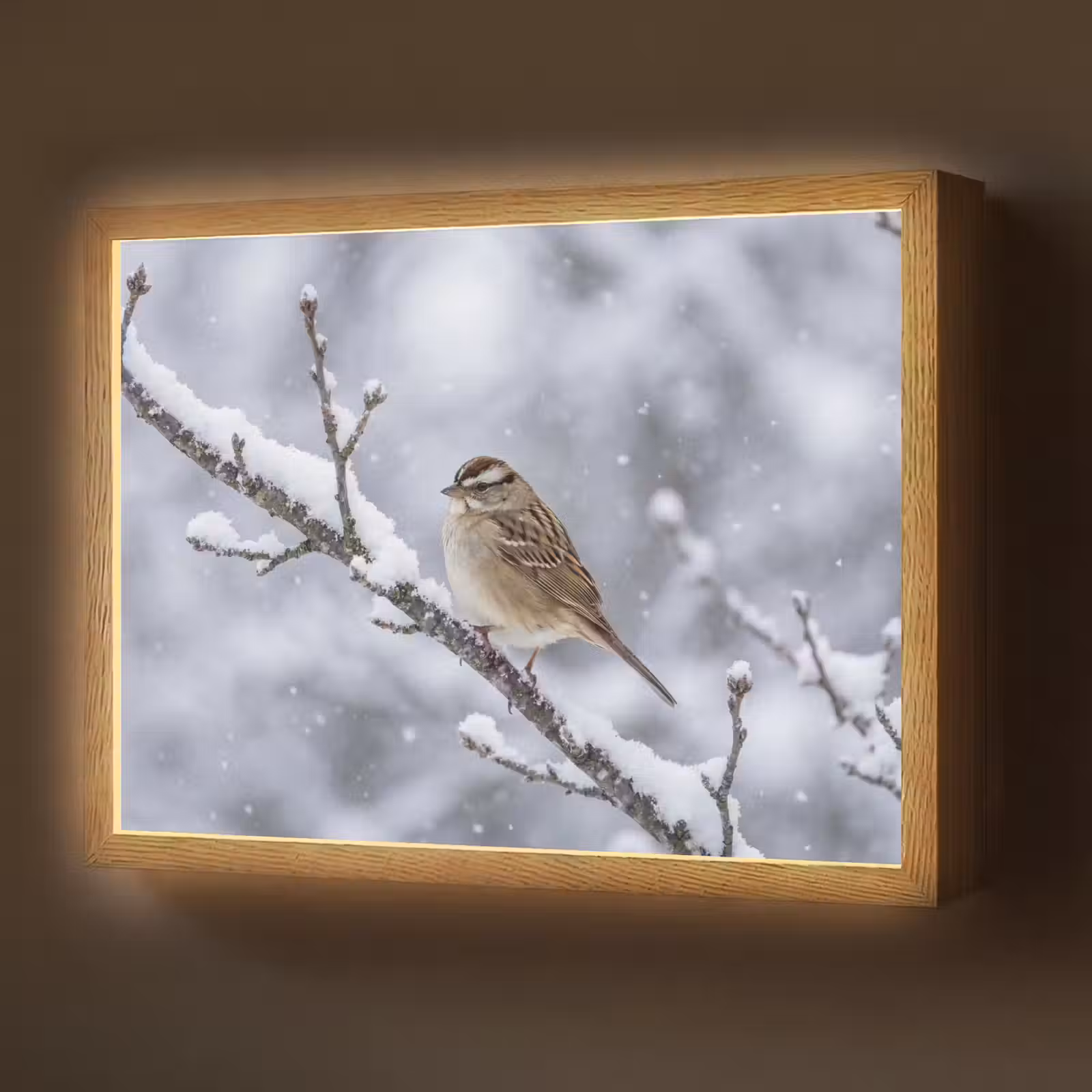 Lightbox - Wandlamp - Vogel - Tak - Sneeuw - Winter — 1